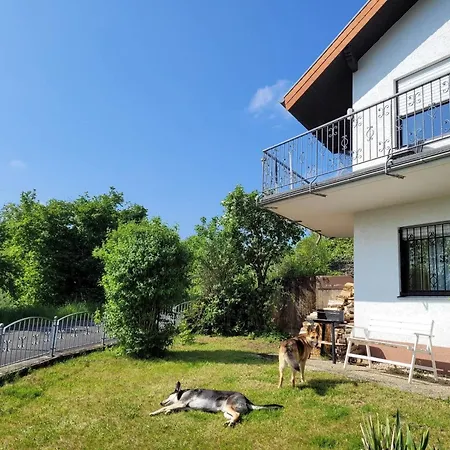 Eifel Mit Hunden Schwalbennest