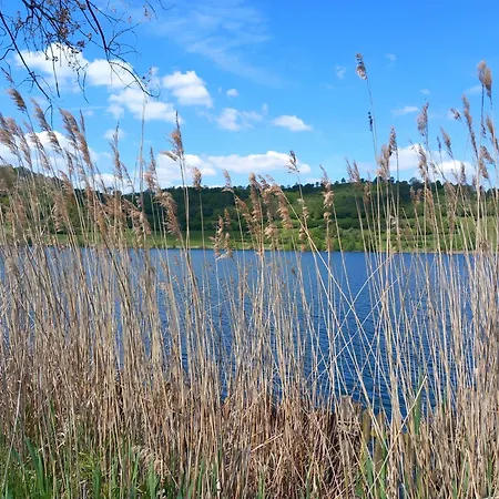 Eifel Mit Hunden Schwalbennest * Schalkenmehren