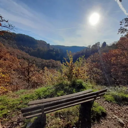 Holiday home Eifel Mit Hunden Schwalbennest *