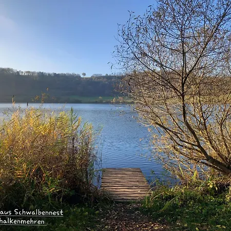 Eifel Mit Hunden Schwalbennest