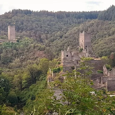 Eifel Mit Hunden Schwalbennest Holiday home