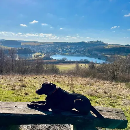 Holiday home Eifel Mit Hunden Schwalbennest Schalkenmehren