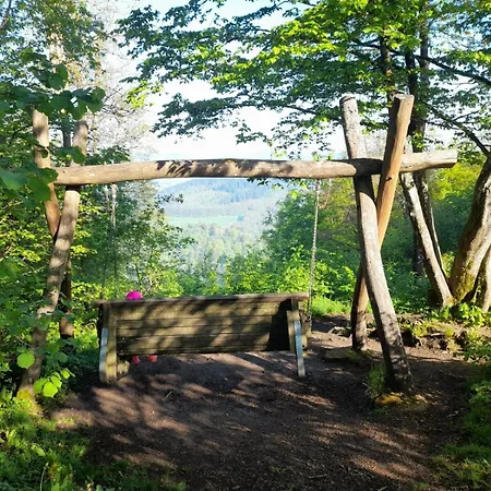 Eifel Mit Hunden Schwalbennest *