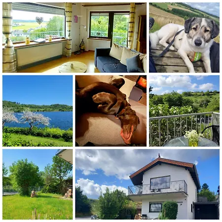 Eifel Mit Hunden Schwalbennest
