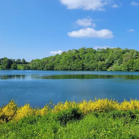 Holiday home Eifel Mit Hunden Schwalbennest Schalkenmehren