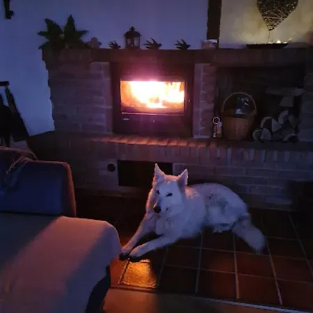 Eifel Urlaub Mit Hunden Schwalbennest Hébergement de vacances