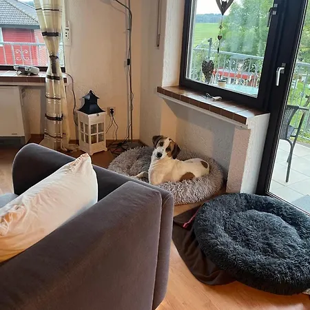 Eifel Urlaub Mit Hunden Schwalbennest Hébergement de vacances