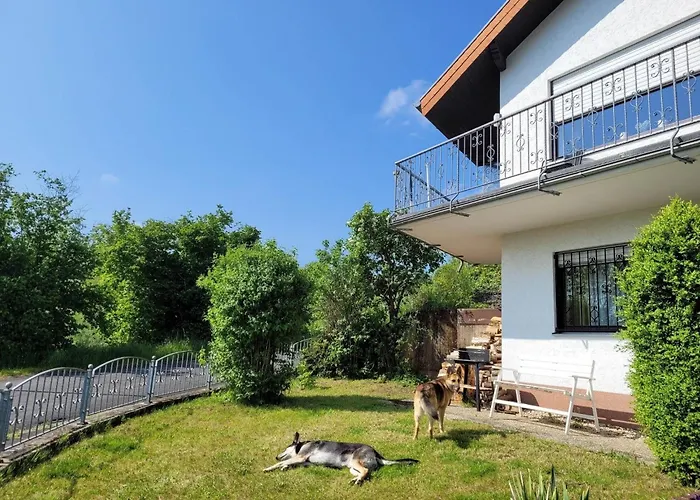 Eifel Urlaub Mit Hunden Schwalbennest