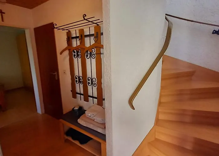 Eifel Urlaub Mit Hunden Schwalbennest * Schalkenmehren