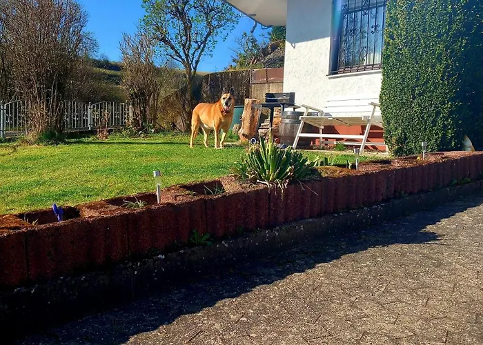 Casa de Férias Eifel Urlaub Mit Hunden Schwalbennest Schalkenmehren
