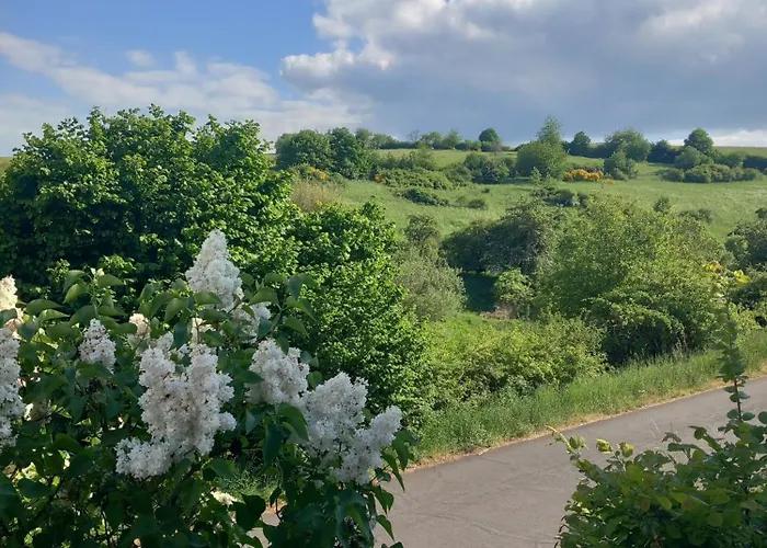 Eifel Urlaub Mit Hunden Schwalbennest Casa de Férias *