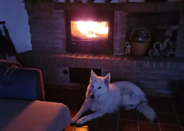 Eifel Urlaub Mit Hunden Schwalbennest Casa de Férias