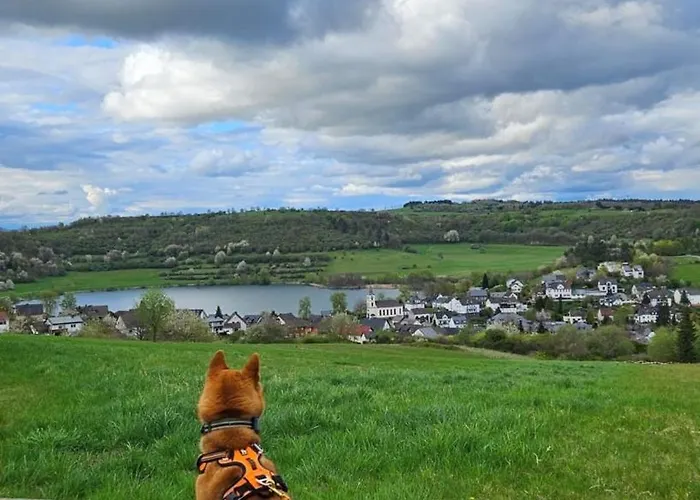 Eifel Urlaub Mit Hunden Schwalbennest *
