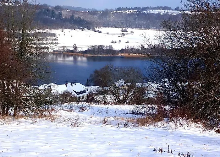 Eifel Urlaub Mit Hunden Schwalbennest