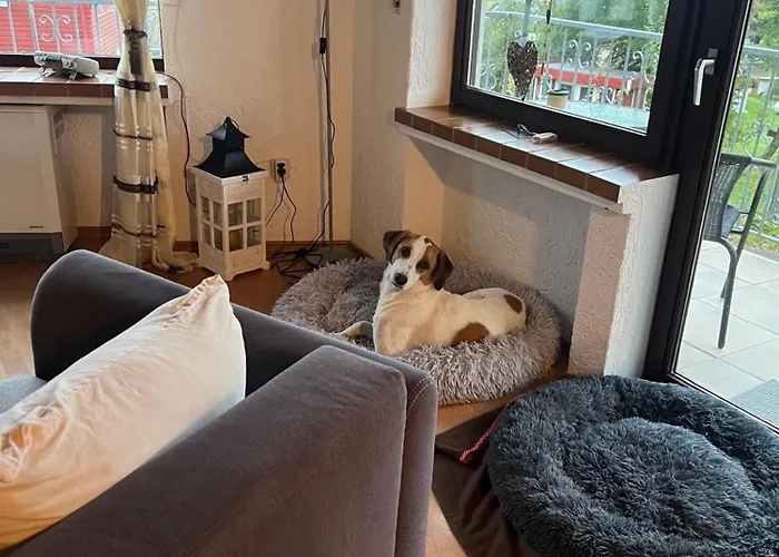 Eifel Urlaub Mit Hunden Schwalbennest Casa de Férias